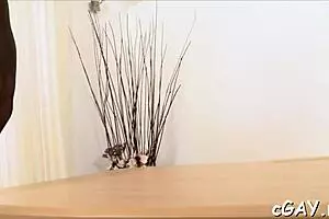 Watch these twinks in homosexual action?