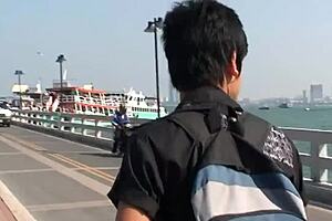 एशियन ट्विंक्स नॉन और गोल्फ इंटेंस बेयरबैक कनेक्शन शेयर करते हैं