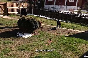 दोस्त, मैंने इस क्यूट चेक ट्विंक को POV कैम पर पैसों के लिए चोद दिया, समझा - Czechhunter.