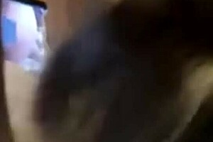 Seksi kammerat slikker og suger min pik dybt