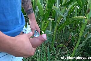 Getting wild in the corn field with amateur group blowjobs and anal.
