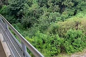 Buru Lelaki Muda Cari Seks di Adegan Jalan Matagel Engenheiro Goulart