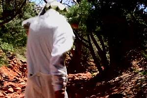 למה משחק כלב ברייבק כל כך פרוע?