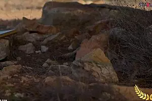 Hot cyclists on Staxus can’t help but to pull over and have sex