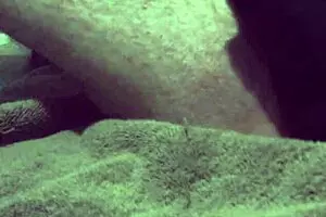 Bisexual guy curious about gay sex,fingered his ass